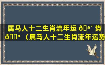 属马人十二生肖流年运 🪴 势 🌺 （属马人十二生肖流年运势 遇兔年盛势仍然有财运）